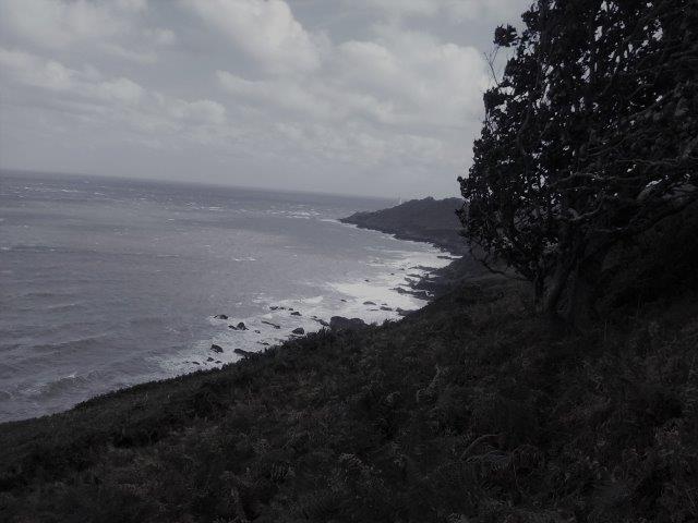 PSALM 46 PHOTO (small)